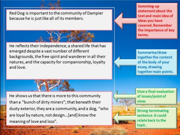 Red dog analysis questions image