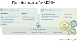 Financial sources for REDD+
Source: www.fao.org/redd
 