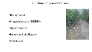 Outline of presentation
•Background
•Stages/phases of REDD+
•Opportunities
•Issues and challenges
•Conclusion
 