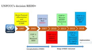 UNFCCC’s decision REDD+
1997 2005 2007 2010 2013 2015 2018
Kyoto Protocol:
afforestation
and
reforestation
(CDM)
COP 11
in
Montreal
RED
COP 13 in
Bali:
REDD+
COP 16 in
Cancun:
REDD+
Safeguards
COP19 :
Warsaw
REDD+
Framewor
k
COP 21:
Paris
Agreement
(Art5:RED
D+ legally
binding)
COP 24 in
Katowice:
MRV of
RBP
Conceptualization of REDD+ Design of REDD+ instrument
Implementation
 