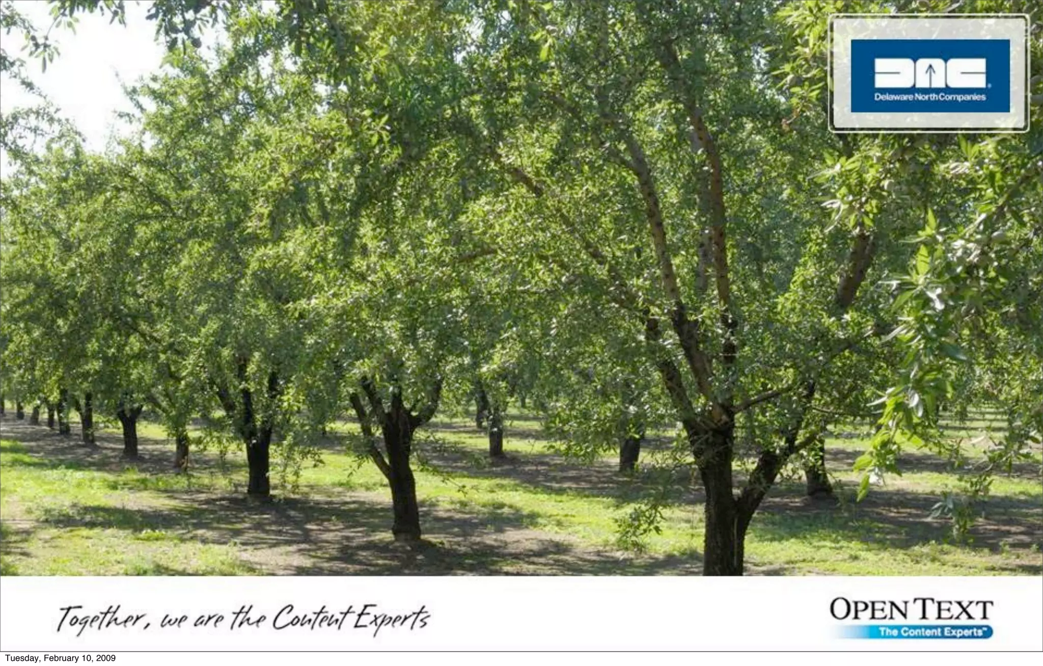 Red Dot Days 2008 Keynote Dk Final