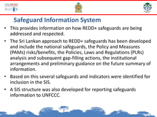 Safeguard Information System
• This provides information on how REDD+ safeguards are being
addressed and respected.
• The Sri Lankan approach to REDD+ safeguards has been developed
and include the national safeguards, the Policy and Measures
(PAMs) risks/benefits, the Policies, Laws and Regulations (PLRs)
analysis and subsequent gap-filling actions, the institutional
arrangements and preliminary guidance on the future summary of
information.
• Based on this several safeguards and indicators were identified for
inclusion in the SIS.
• A SIS structure was also developed for reporting safeguards
information to UNFCCC.
 