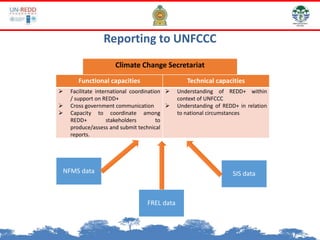Climate Change Secretariat
Functional capacities Technical capacities
 Facilitate international coordination
/ support on REDD+
 Cross government communication
 Capacity to coordinate among
REDD+ stakeholders to
produce/assess and submit technical
reports.
 Understanding of REDD+ within
context of UNFCCC
 Understanding of REDD+ in relation
to national circumstances
Reporting to UNFCCC
NFMS data SIS data
FREL data
 