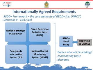 National Strategy
/Action Plan
Safeguards
Information
System (SIS)
Forest Reference
Emission Level
(FREL)
National Forest
Monitoring
System (NFMS)
Internationally Agreed Requirements
REDD+ Framework – the core elements of REDD+ (i.e. UNFCCC
Decisions 9 - 15/CP.19)
REDD+
Focal
Entity
Reporting
to UNFCCC
Bodies who will be leading/
coordinating these
elements
 