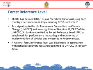 Forest Reference Level
• REDD+ has defined FREL/FRLs as “benchmarks for assessing each
country’s performance in implementing REDD+ activities”
• As a signatory to the UN Framework Convention on Climate
Change (UNFCCC) and in recognition of Decision 12/CP.17 of the
UNFCCC, Sri Lanka submitted its Forest Reference Level (FRL) as
benchmark for performance measuring and monitoring of
implementation of policies and measures in forestry sector.
• A national forest reference level was developed in accordance
with national circumstances and submitted to UNFCCC in January
2017.
 
