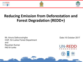 Mr. Anura Sathurusinghe
CGF, Sri Lanka Forest Department
and
Raushan Kumar
FAO Sri Lanka
Date:16 October 2017
Reducing Emission from Deforestation and
Forest Degradation (REDD+)
 