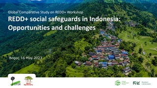 Bogor, 16 May 2023
Global Comparative Study on REDD+ Workshop
REDD+ social safeguards in Indonesia:
Opportunities and challenges
 