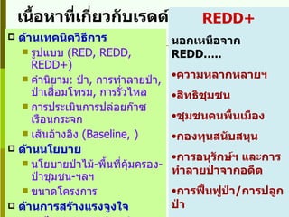 เนื้อหาที่เกี่ยวกับเรดด์ในปัจจุบัน ด้านเทคนิควิธีการ รูปแบบ  (RED, REDD, REDD+) คำนิยาม :   ป่า ,  การทำลายป่า ,  ป่าเสื่อมโทรม ,  การรั่วไหล  การประเมินการปล่อยก๊าซเรือนกระจก เส้นอ้างอิง  ( Baseline, ) ด้านนโยบาย นโยบายป่าไม้ - พื้นที่คุ้มครอง - ป่าชุมชน - ฯลฯ ขนาดโครงการ ด้านการสร้างแรงจูงใจ กลไกการตลาด  ( market-based) กลไกกองทุนสนับสนุน (  Fund-Based) REDD+ นอกเหนือจาก  REDD….. ความหลากหลายฯ สิทธิชุมชน ชุมชนคนพื้นเมือง กองทุนสนับสนุน การอนุรักษ์ฯ และการทำลายป่าจากอดีต  การฟื้นฟูป่า / การปลูกป่า การตอบแทนสำหรับชุมชนที่ดูแลรักษาป่า 