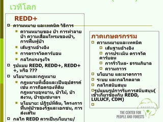 ประเด็นในภาคเกษตรและป่าไม้ ( REDD) ในเวทีโลก REDD+ ความหมาย และเทคนิค วิธีการ ความหมายของ ป่า การทำลายป่า ความเสื่อมโทรมของป่า ,  การฟื้นฟูป่า  เส้นฐานอ้างอิง  การตรวจวัดคาร์บอน  กลไกแรงจูงใจ  รูปแบบ  REDD, REDD+, REDD++,  หรือ  ??? นโยบายและกฎหมาย กฎหมายที่เอื้อและเป็นอุปสรรค์ เช่น การถือครองที่ดิน กฎหมายอุทยาน ,  ป่าไม้ ,  ป่าสงวน ,  ป่าชุมชนฯลฯ นโยบาย :  ปฎิรูปที่ดิน ,  โครงการฟื้นฟูป่าของรัฐและเอกชน ,  การส่งเสริม  กลไก  REDD   ควรเป็นนโยบาย / แผนงานระดับชาติ หรือระดับโครงการ การเงิน หรืองบประมาณควรมาจากการซื้อ - ขายคาร์บอน หรือเป็นเงินสนับสนุน ภาคเกษตรกรรม ความหมายและเทคนิค เส้นฐานอ้างอิง การประเมิน ตรวจวัดคาร์บอน การรั่วไหล -  ธรรมภิบาล ความถาวร นโยบาย และมาตรการ  ระบบ และกลไกตลาด กลไกสนับสนุน รูปแบบรูปการรับการสนับสนุน ( เข้าเกี่ยวข้องกับ  REDD, LULUCF, CDM ) 