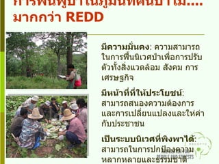 การฟื้นฟูป่าในภูมินิทัศน์ป่าไม้ .... มากกว่า  REDD มีความมั่นคง :  ความสามารถในการฟื้นนิเวศป่าเพื่อการปรับตัวทั้งสิ่งแวดล้อม สังคม การเศรษฐกิจ มีหน้าที่ที่ให้ประโยชน์ :  สามารถสนองความต้องการและการเปลี่ยนแปลงและให่ค่ากับประชาชน เป็นระบบนิเวศที่พิงพาได้ :  สามารถในการปกป้องความหลากหลายและธรรมชาติ 