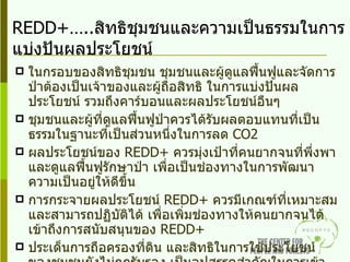 ในกรอบของสิทธิชุมชน ชุมชนและผู้ดูแลฟื้นฟูและจัดการป่าต้องเป็นเจ้าของและผู้ถือสิทธิ ในการแบ่งปันผลประโยชน์ รวมถึงคาร์บอนและผลประโยชน์อืนๆ ชุมชนและผู้ที่ดูแลฟื้นฟูป่าควรได้รับผลตอบแทนที่เป็นธรรมในฐานะที่เป็นส่วนหนึ่งในการลด  CO2 ผลประโยชน์ของ  REDD+   ควรมุ่งเป้าที่คนยากจนที่พึ่งพาและดูแลฟื้นฟูรักษาป่า เพื่อเป็นช่องทางในการพัฒนาความเป็นอยู่ให้ดีขึ้น การกระจายผลประโยชน์  REDD+  ควรมีเกณฑ์ที่เหมาะสมและสามารถปฏิบัติได้ เพื่อเพิ่มช่องทางให้คนยากจนได้เข้าถึงการสนับสนุนของ  REDD+ ประเด็นการถือครองที่ดิน และสิทธิในการใช้ประโยชน์ของชุมชนยังไม่ถูกรับรอง เป็นอุปสรรคสำคัญในการเข้าร่วมของชุมชนท้องถิ่นและกลุ่มชาติพันธุ์  โฉนดชุมชน เป็นกลไกที่สำคัญในการรองรับรองสิทธิชุมชนของผู้ดูแลจัดการและผู้ใช้ประโยชน์ในการเข้าถึงผลประโยชน์ในกลไก  REDD+ REDD+….. สิทธิชุมชนและความเป็นธรรมในการแบ่งปันผลประโยชน์ 