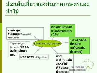 ประเด็นเกี่ยวข้องกับภาคเกษตรและป่าไม้ REDD and Agriculture เป้าหมายการลดก๊าซเรือนกระจก  ( 2%) NAMA ( กลไลที่เหมาะสมในระดับประเทศ ) การเปลี่ยนแปลงการใช้ที่ดินและป่า LULUCF มาตรการ  Mitigation Copenhagen Accords  ข้อตกลงโคเปนฮาเกน แหล่งทุนสนับสนุน Financial resources 