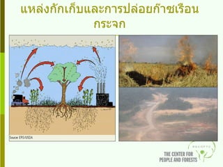 ภาคเกษตรกรรมและป่าไม้ :  การเป็นแหล่งกักเก็บและการปล่อยก๊าซเรือนกระจก 