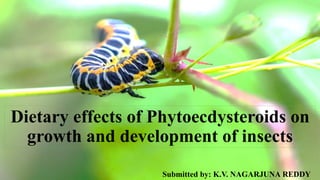 Dietary effects of Phytoecdysteroids on
growth and development of insects
Submitted by: K.V. NAGARJUNA REDDY
 