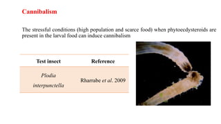 Dietary effects of phytoecdysteroids on growth and developement of ...