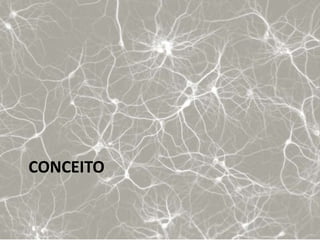 CONCEITO
 