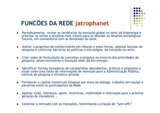 FUNCÕES DA REDE jatrophanet
Periodicamente, revisar as tendências da inovação global no setor da bioenergia e
priorizar os temas e projetos mais viáveis para se abordar os desafios estratégicos
futuros, em consonância com as demandas do setor.

Avaliar o progresso do conhecimento em relação a esses temas, apontar lacunas de
pesquisa e contornar barreiras às políticas e estratégias da inovação no setor.

Criar redes de formulação de conceitos e projetos no entorno das prioridades de
pesquisa, desenvolvimento e inovação setor da bio-energia .

Identificar formas inovadoras de compartilhar descobertas, práticas e propostas e
atuar como uma fonte de informações de inovação para a Administração Pública,
centros de pesquisa e iniciativa privada

Fortalecer o capital intelectual Estadual por meio do diálogo, trabalho em equipe e
parcerias entre os participantes da Rede.

Aportar visão, liderança, apoio, incentivos, visibilidade e motivação para a próxima
geração de inovadores .

Conectar o mercado com as inovações, fomentando a criação de “spin-offs”
 