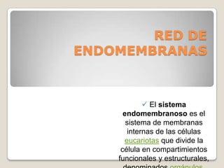 RED DE ENDOMEMBRANAS ,[object Object],[object Object]