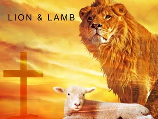 L ION & LAMB 
 