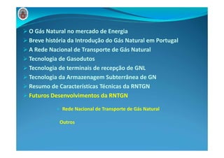Rede Nacional de Transporte Gas Natural - REN Gasodutos | PDF