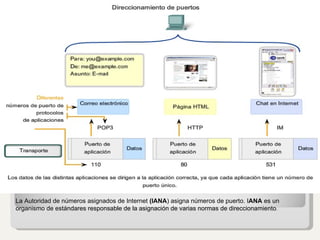 La Autoridad de números asignados de Internet  (IANA ) asigna números de puerto. I ANA  es un organismo de estándares responsable de la asignación de varias normas de direccionamiento . 