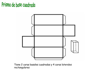 Prisma de base cuadrada Tiene 2 caras basales cuadradas y 4 caras laterales rectangulares 