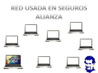 RED USADA EN SEGUROSALIANZA