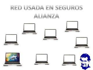 RED USADA EN SEGUROSALIANZA