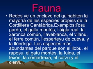 Fauna Redes ye un enclave nel qu’habiten la mayoría de les especies propies de la Cordillera Cantábrica.Exemplos:l’osu pardu, el gallu montés, l’áigla real, la xaronca común, l’aveblanca, el vilanu, el ferre común, l’esperteyu de cueva, y la llóndriga. Les especies más abundantes del parque son el llobu, el raposu, el gatu montés, la fuina, el texón, la comadrexa, el corzu y el ciervu.  ,  