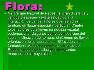 Flora: Nel Parque Natural de Redes hai gran diversidá y cantidá d’especies vexetales debido a la interacción de varios factores que faen d’esti territoriu un llugar especial y particular. D’entre tolos factores qu’influyen na riqueza vexetal podemos citar dalgunos como: composición del suelu, inclinación del terrenu, el réximen de lluvies, orientación deles laderes, etc. El fayedo ye la formación vexetal dominante nos montes de Redes, anque estos albergen importantes manches de carbayu albar.  