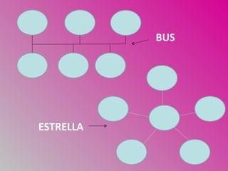 BUS




ESTRELLA
 