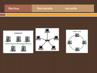 Red bus   Red estrella   red anillo
 