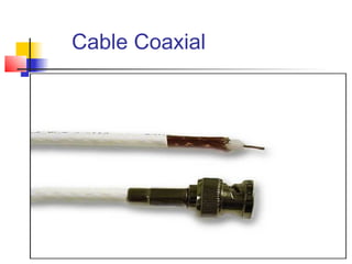 Cable Coaxial
 