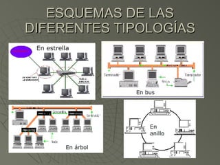 ESQUEMAS DE LAS DIFERENTES TIPOLOGÍAS En estrella  En árbol En anillo En bus 
