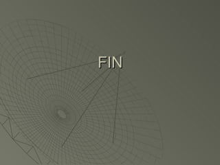 FIN 