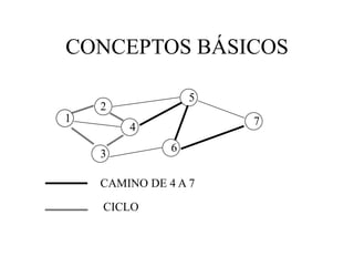 CONCEPTOS BÁSICOS
1
4
3
2
6
5
7
1
CAMINO DE 4 A 7
CICLO
 