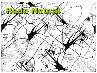 Rede NeuralRede Neural
 