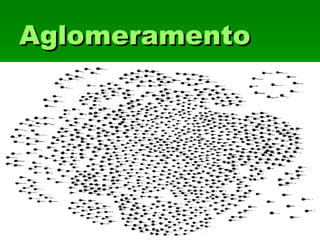 AglomeramentoAglomeramento
 