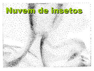 Nuvem de insetosNuvem de insetos
 