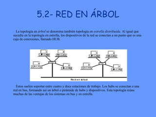 5.2- RED EN ÁRBOL La topología en  árbol  se denomina también topología en  estrella distribuida . Al igual que sucedía en la topología en estrella, los dispositivos de la red se conectan a un punto que es una caja de conexiones, llamado HUB.  Estos suelen soportar entre cuatro y doce estaciones de trabajo. Los hubs se conectan a una red en bus, formando así un árbol o pirámide de hubs y dispositivos. Esta topología reúne muchas de las ventajas de los sistemas en bus y en estrella.  