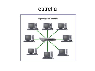 estrella 