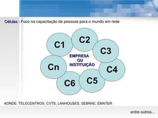C1 C6 Cn C2 C5 C4 C3 Células :  Foco na capacitação de pessoas para o mundo em rede AONDE: TELECENTROS, CVTS, LANHOUSES, SEBRAE, EMATER entre outros... EMPRESA OU INSTITUIÇÃO 