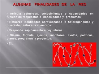 ALGUNAS FINALIDADES DE LA REDALGUNAS FINALIDADES DE LA RED
• Articula esfuerzos, conocimientos y capacidades en
función de respuestas a necesidades y problemas
• Refuerza identidades aprovechando la heterogeneidad y
diversidad entre sus miembros
• Responde rápidamente a coyunturas
• Diseña, formula, ejecuta, monitorea, evalúa, políticas,
planes, programas y proyectos.
• Etc.
 