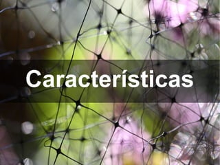 Características 