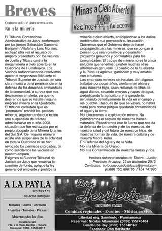 Revista Redes 06