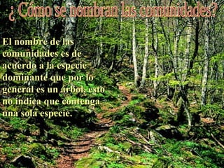 El nombre de las
comunidades es de
acuerdo a la especie
dominante que por lo
general es un árbol, esto
no indica que contenga
una sola especie.
 