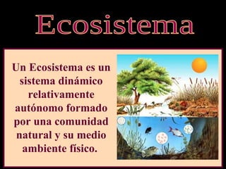 Un Ecosistema es un
  sistema dinámico
    relativamente
autónomo formado
por una comunidad
 natural y su medio
   ambiente físico.
 