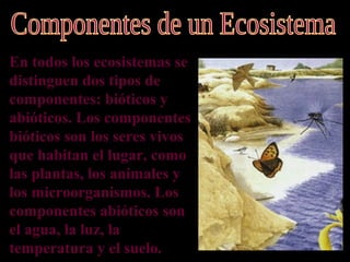 En todos los ecosistemas se
distinguen dos tipos de
componentes: bióticos y
abióticos. Los componentes
bióticos son los seres vivos
que habitan el lugar, como
las plantas, los animales y
los microorganismos. Los
componentes abióticos son
el agua, la luz, la
temperatura y el suelo.
 