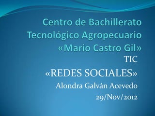 TIC
«REDES SOCIALES»
 Alondra Galván Acevedo
            29/Nov/2012
 