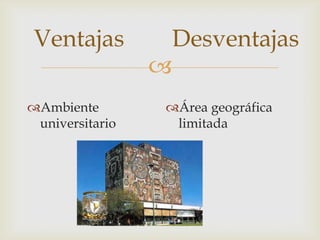Ventajas         Desventajas
                 
Ambiente         Área geográfica
 universitario     limitada
 